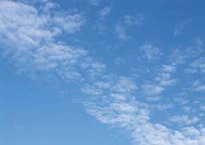 安心して選べる！大阪市の墓地事情と永代供養の最新情報