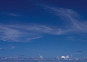 静岡市で安心の葬儀サービスを提供する富士葬祭 みずほの詳細と特徴
