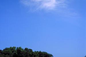 【静岡県浜松市の家族葬・葬儀場】富士葬祭浜北沼の特徴とアクセス情報