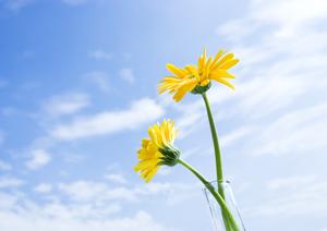 静岡市長沼に新たに誕生した家族葬に特化した斎場「家族葬のタクセル長沼」の全貌と特徴