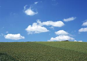 手元供養という新しい供養のかたち