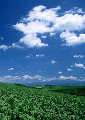 富士市に位置する信頼の葬儀場：富士葬祭 富士松岡の特徴とサービス内容