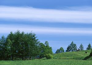 静岡市葵区に誕生した家族葬のタクセル沓谷｜低価格で安心の家族葬専門斎場