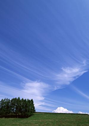 403 Forbiddenエラーの原因と解決策：ウェブサイト運営者必見の対策ガイド