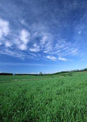 静岡県焼津市で家族葬をお考えなら【公式】家族葬のタクセル東小川：安心低価格・完全貸切の家族葬式場ガイド
