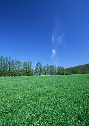 富士宮市田中町にある家族葬・小規模葬儀に最適な【富士葬祭 田中町】の全て