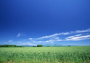 静岡県富士宮市の家族葬に最適な葬儀場とサービス紹介?安心の葬儀サポートを提供