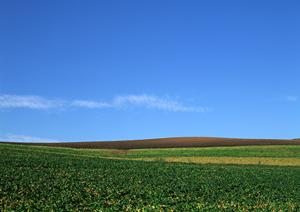 静岡市・静岡県の家族葬・火葬・葬儀場情報｜低価格で安心の葬儀サービスを提供【家族葬のタクセル】