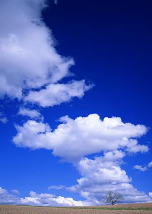 法事の返礼品を販売している会社