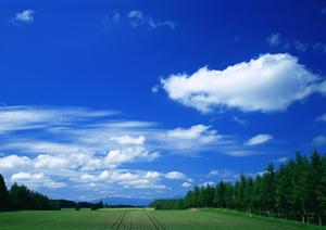 静岡市駿河区における信頼の葬儀サービス：富士葬祭 中村町の特徴と詳細情報