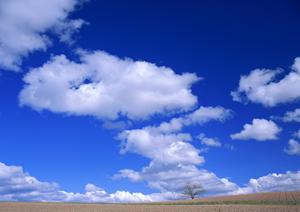 徳島県内の信頼できる葬儀社とは