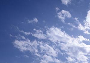 静岡市で信頼の葬儀サービスを提供する富士葬祭 静岡の詳細情報と特徴