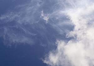 アクセスに良い納骨堂を探してみよう