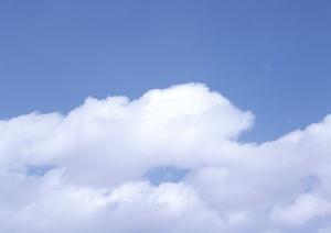 納得のいく形でペットを見送りたい