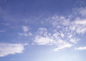 樹木葬と永代供養をおこなう宮城県の寺