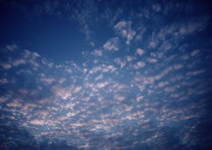 静岡市の家族葬専門斎場【家族葬のタクセル丸山町】2023年10月OPEN。少人数に最適な低価格・プライベートな葬儀サービス