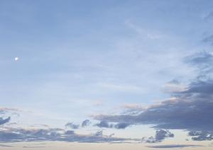 仙台近郊の樹木葬の相談ができる