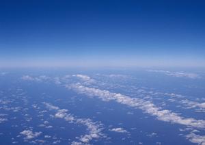 千葉で自然葬をするなら真光寺が最適