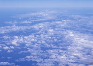 お墓の引越しを希望している人は